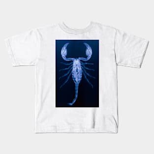 X-ray of the scorpion, Palamnaeus fulvipes (Z420/0010) Kids T-Shirt